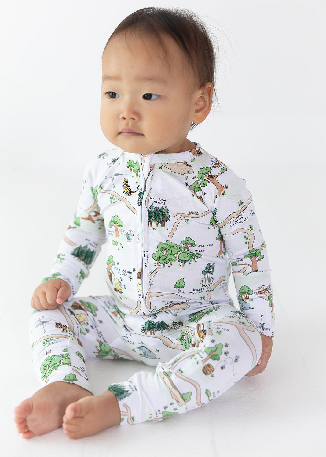 Winnie the Pooh Hundred Acre Wood convertible zippy romper.