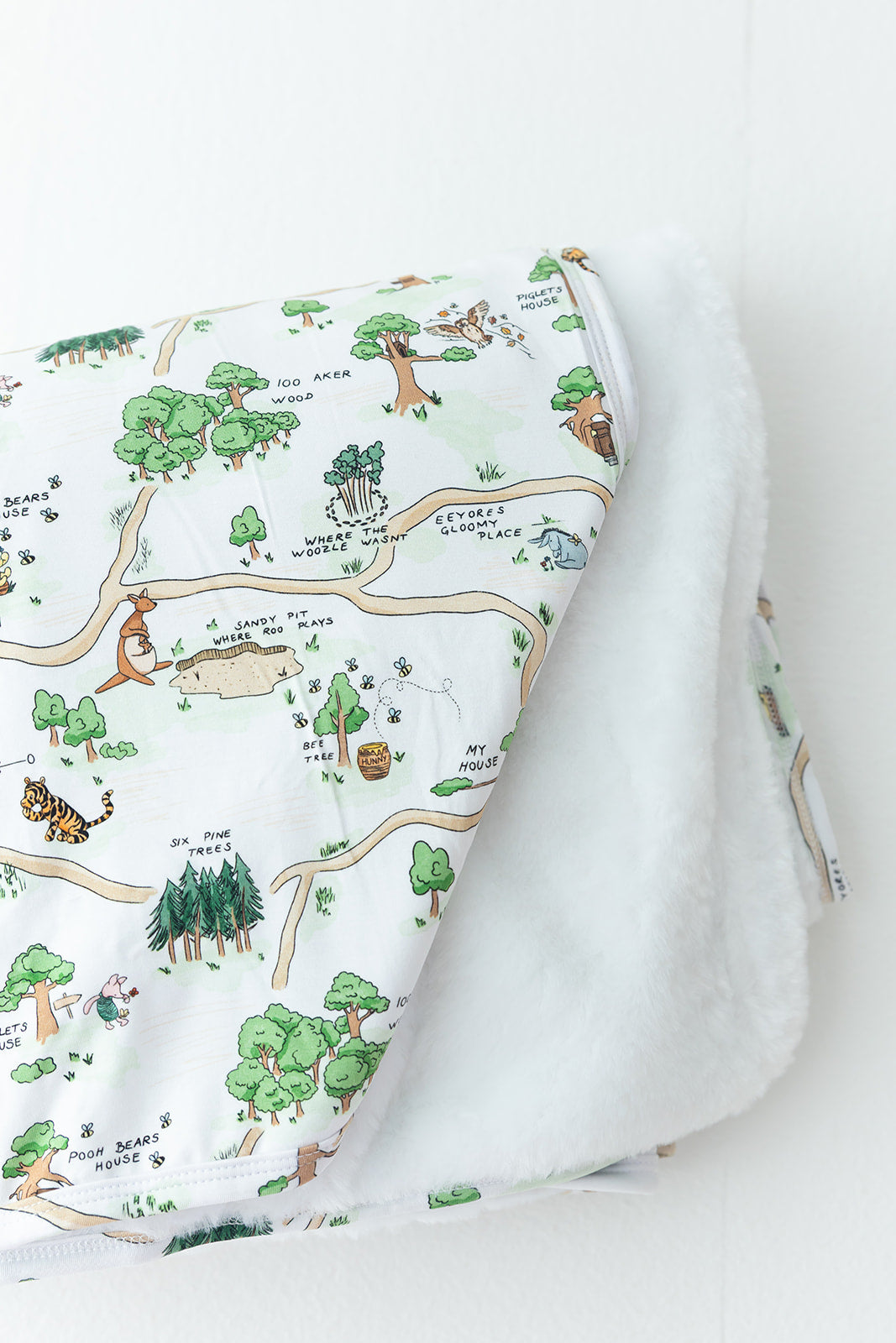 Winnie the Pooh Hundred Acre Wood plush bamboo blanket.